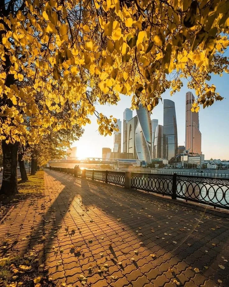 🍂 Погода в Москве, 12 октября 2026