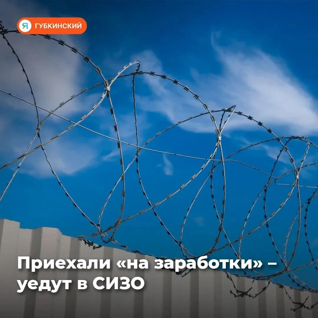 В Губкинском задержаны трое заезжих наркокурьеров из Красноярска. Их поймали на попытке...
