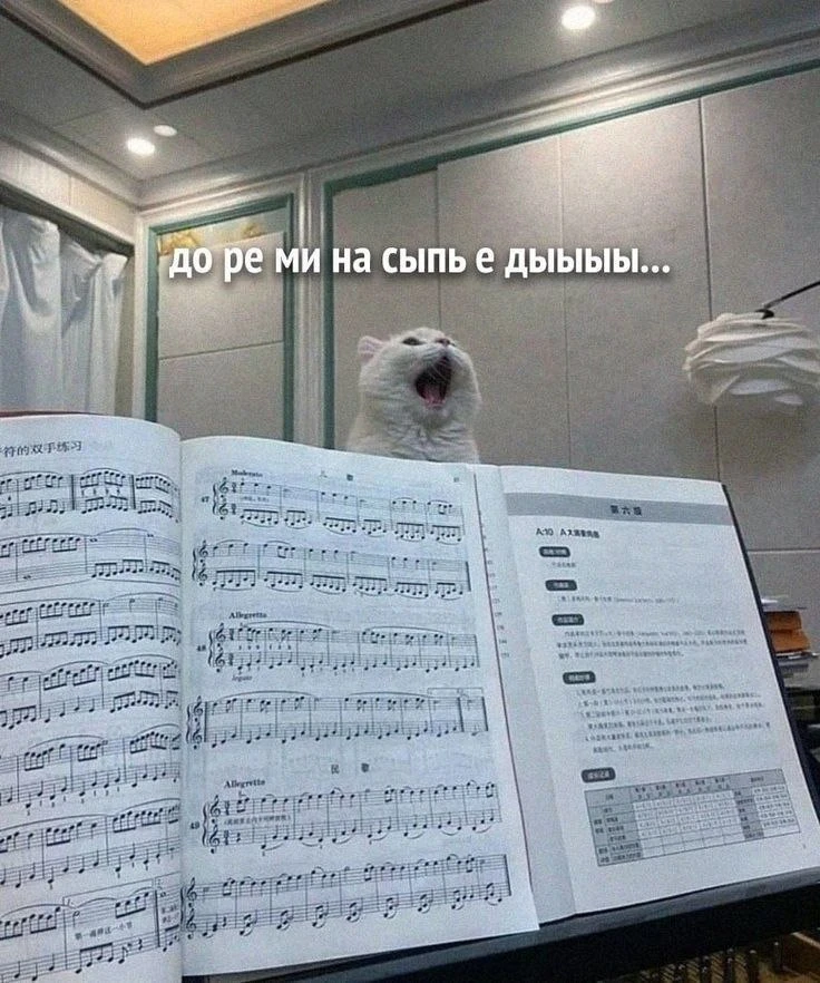 Доброе утро 😸☀️
