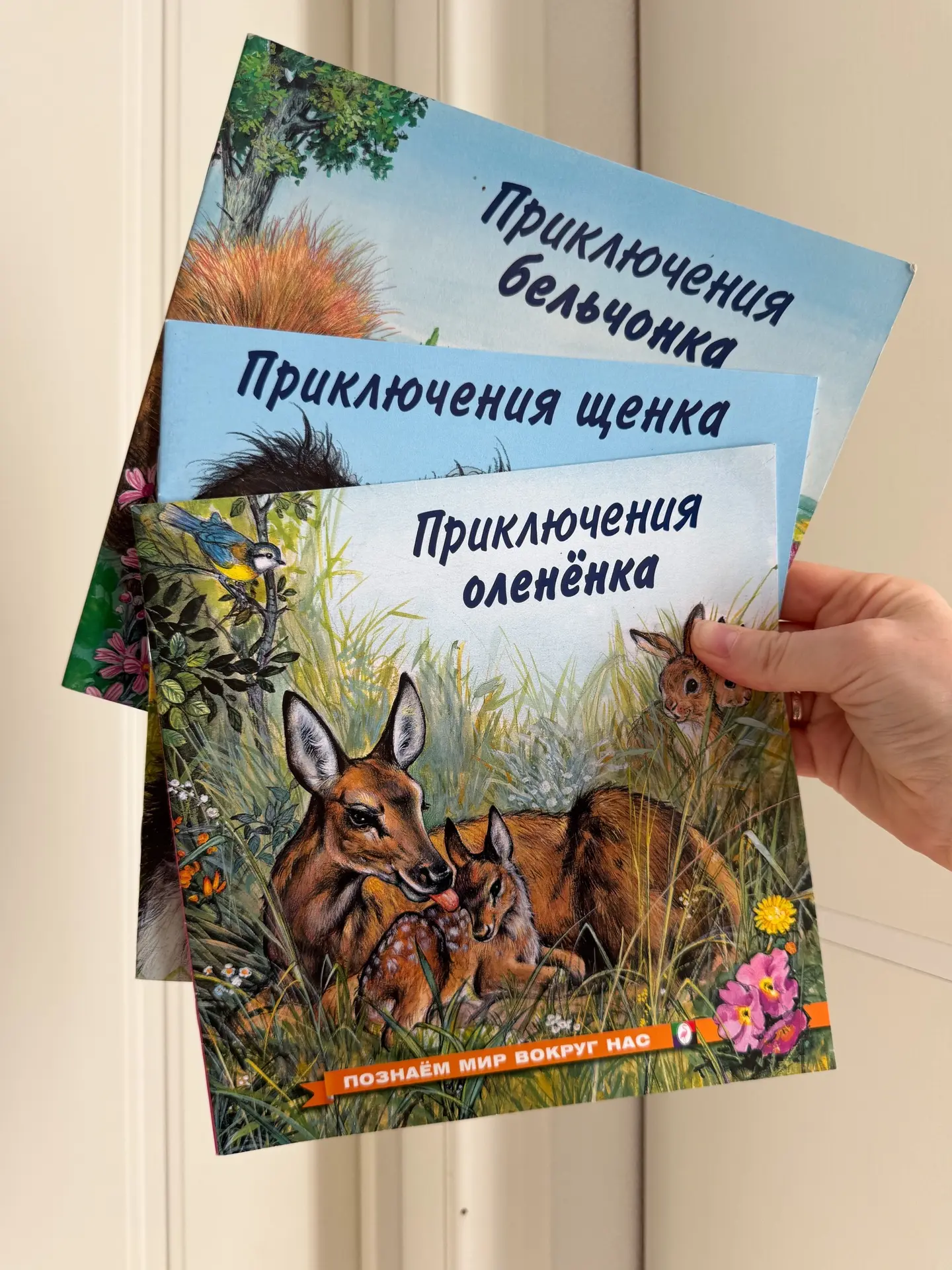 Познаем мир вокруг нас 🐿️