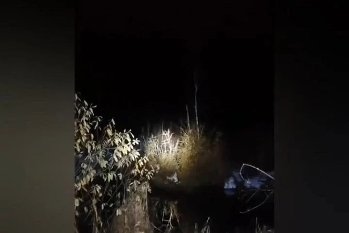На Урале спасли 16-летнего школьника, который забрел в болотную топь🙏