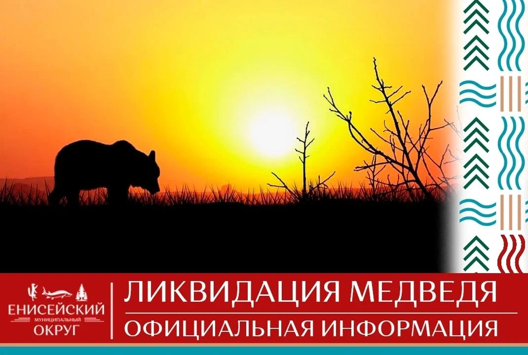 За 10 октября по Енисейскому округу поступило два сообщения от жителей о выходе медведе...