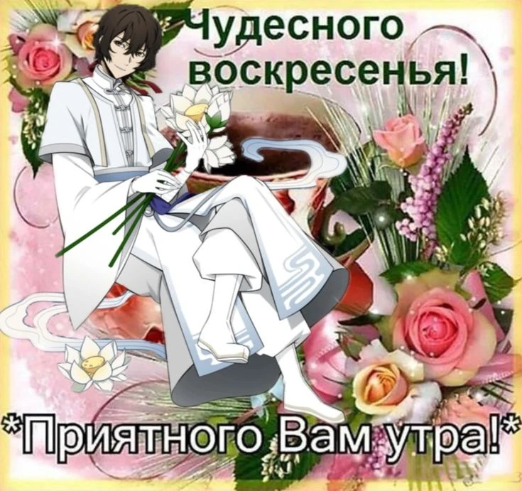 О литераторах 🖤