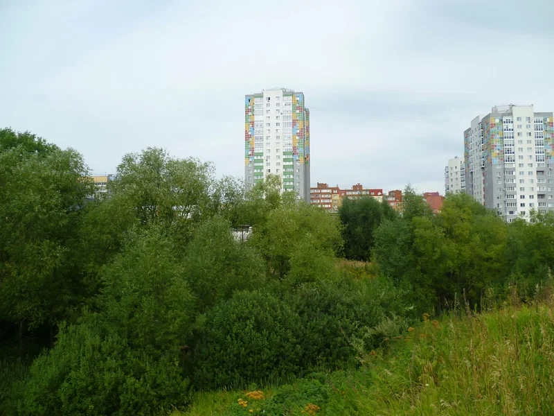🌳 В Рязани благоустроят территорию у дендропарка на улице Зубковой за 3,75 млн рублей.