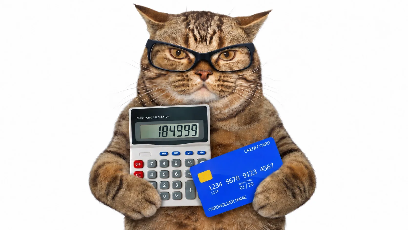 199 000 ₽ долга. Завтра зарплата. Хочу увидеть на кредитке хотя бы 184 999 ₽ 😁