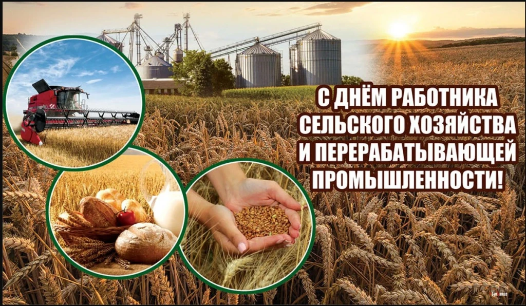 🌾 День работников сельского хозяйства и перерабатывающей промышленности в России