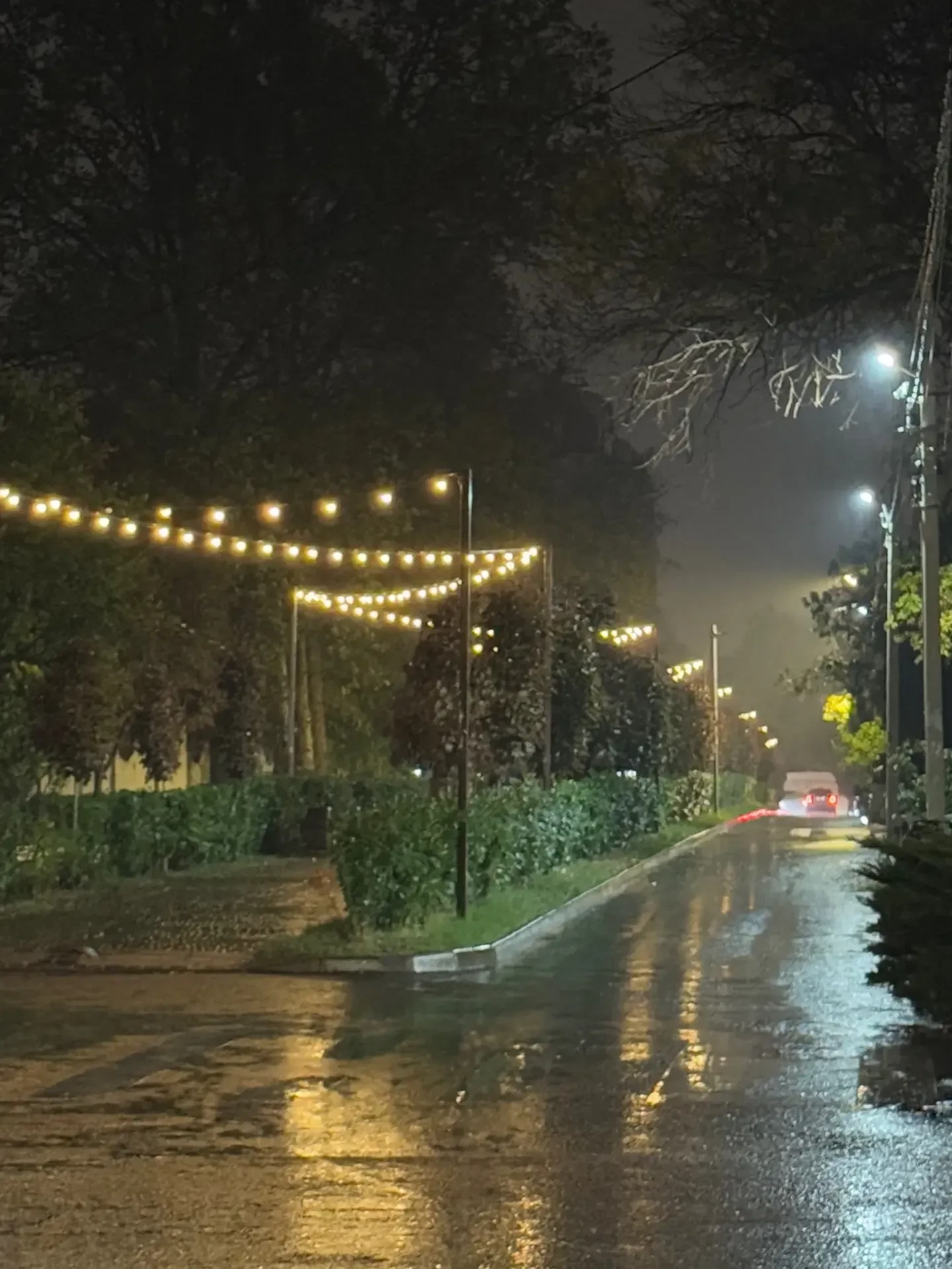 Сегодняшний вечер в Анапе выглядит так☂️