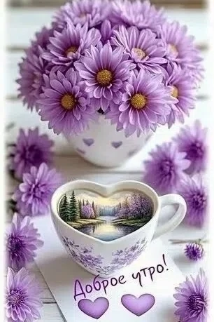 🎀 Красивые открытки