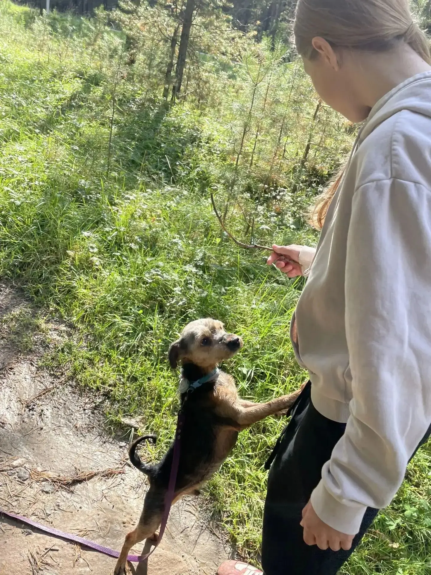 Всем привет! Меня зовут Ульяна, я учусь в 5 «Б» классе. 👋