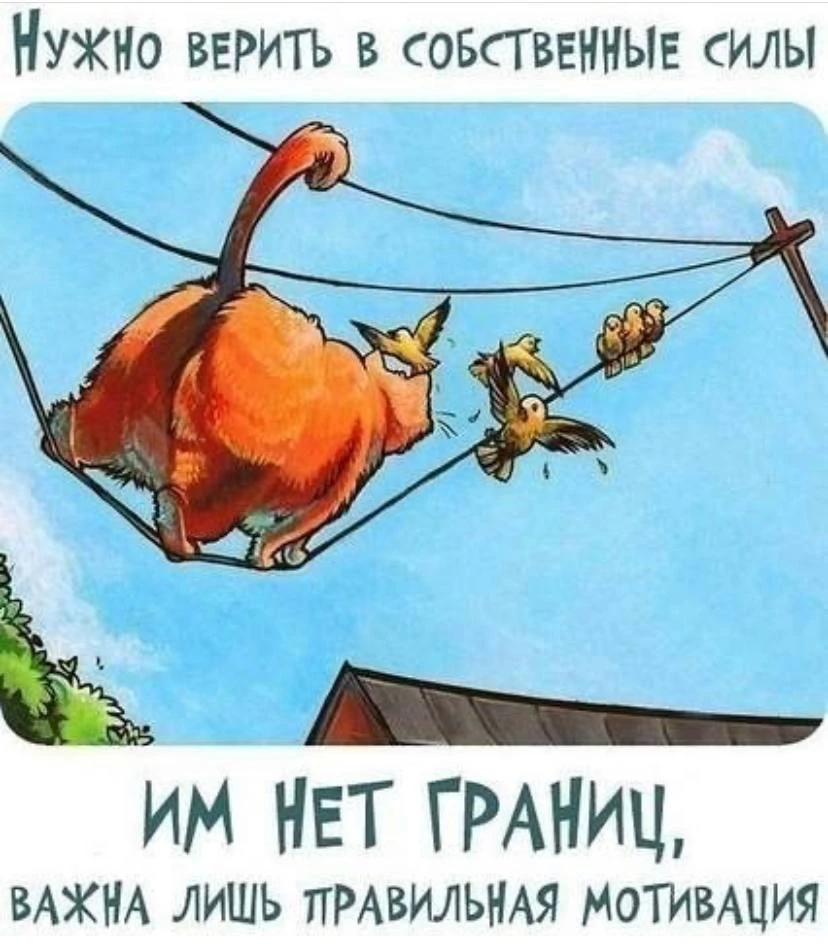 Пчёлка