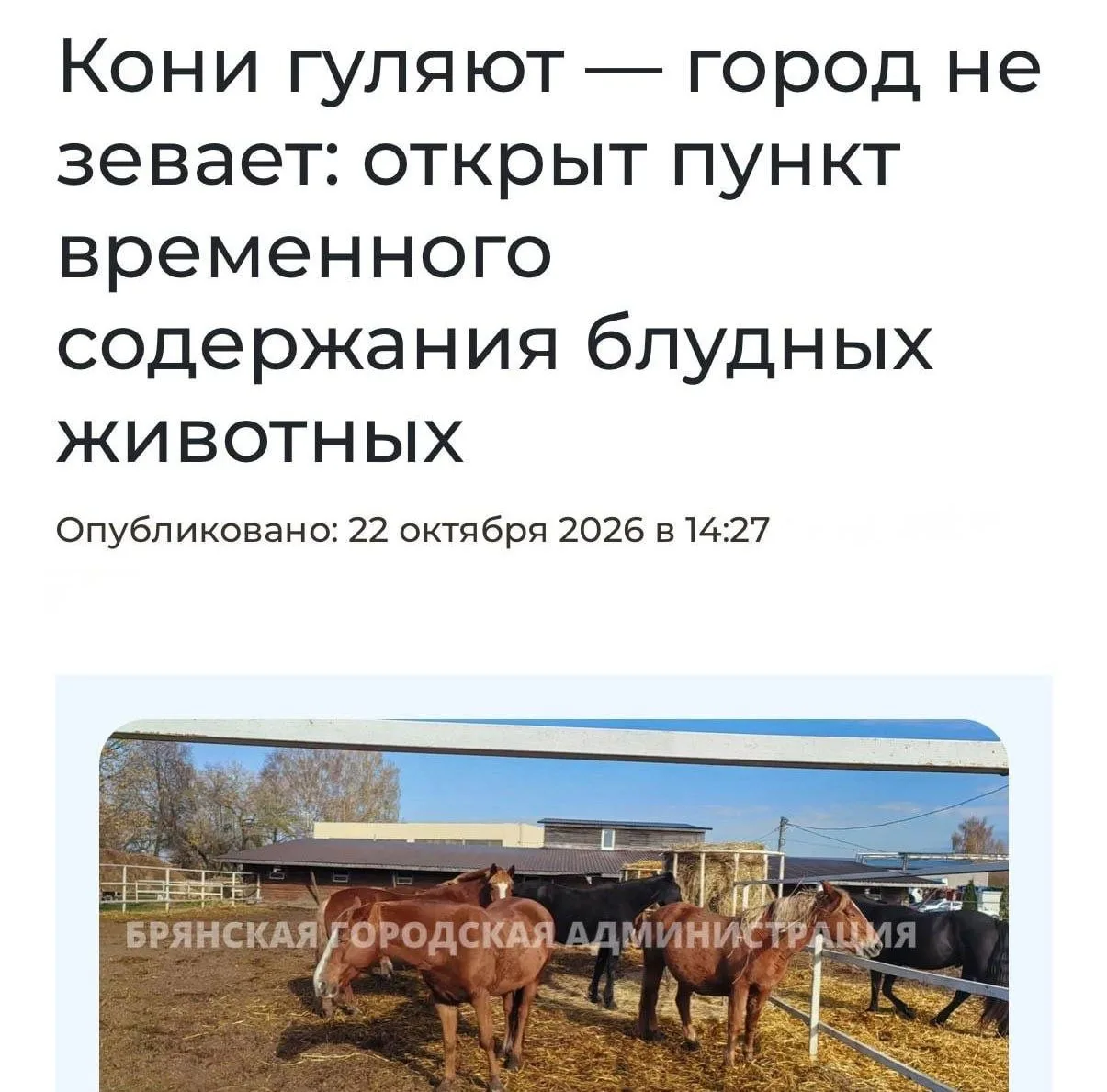 🐴У цыган в России начнут отбирать лошадей и отправлять на штрафстоянку — меры вводят в...