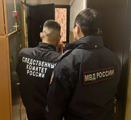 ⚡️ Кровавая бытовуха в Якутске: арестована убийца‑женщина