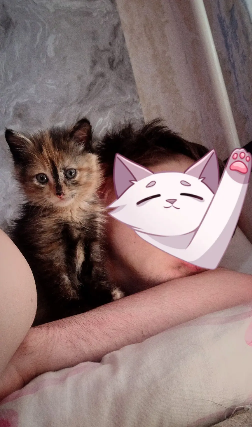 💮Малышка так же ищет семью ❤💮