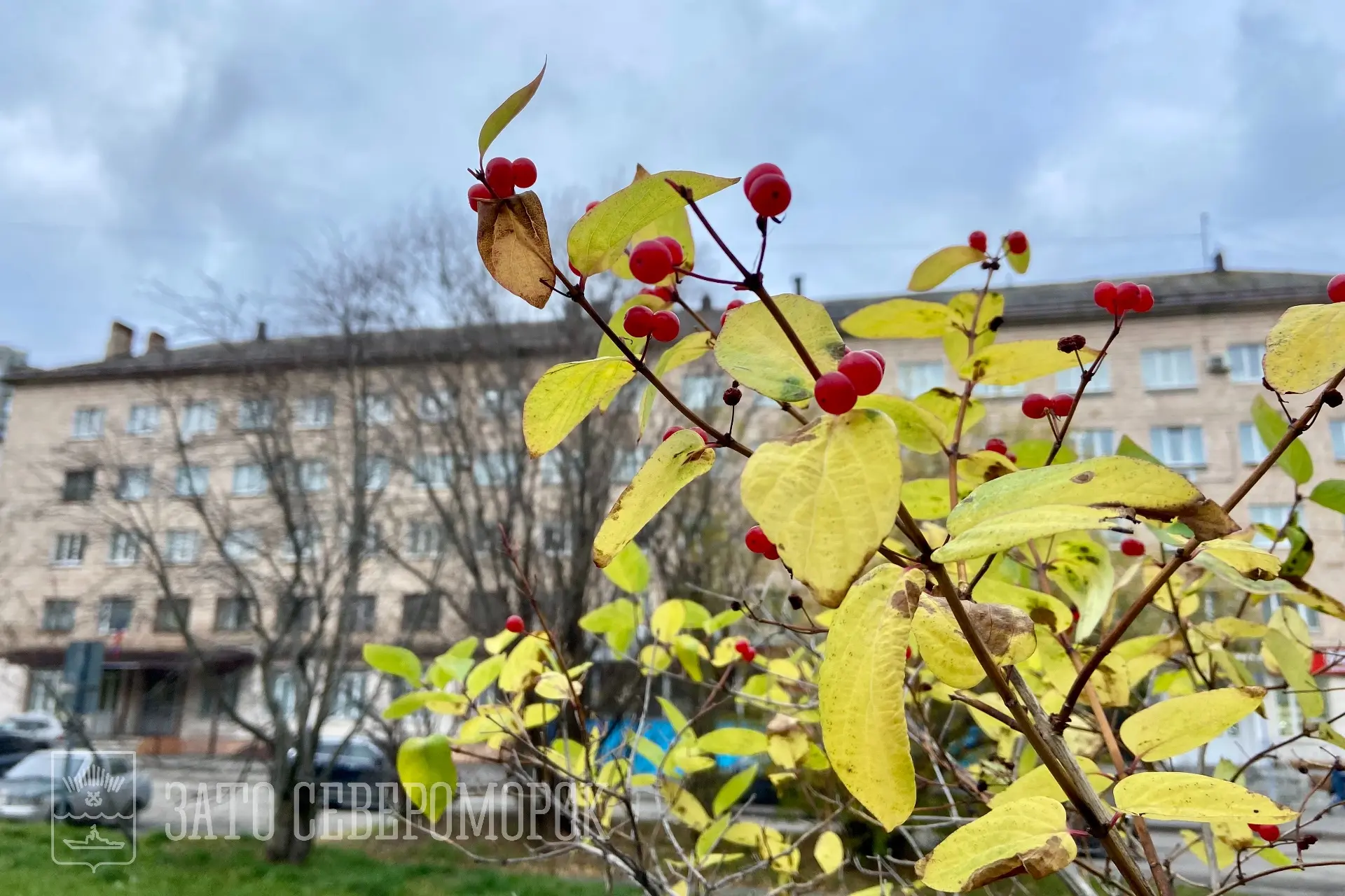 Доброе утро!