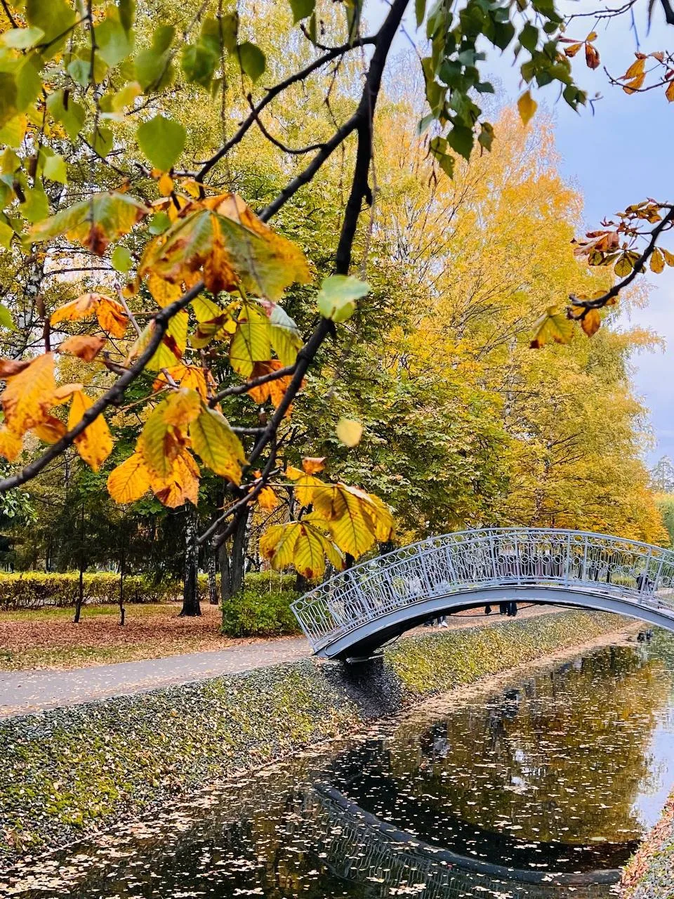 ❗️🍁 В парке Урицкого очень красиво!