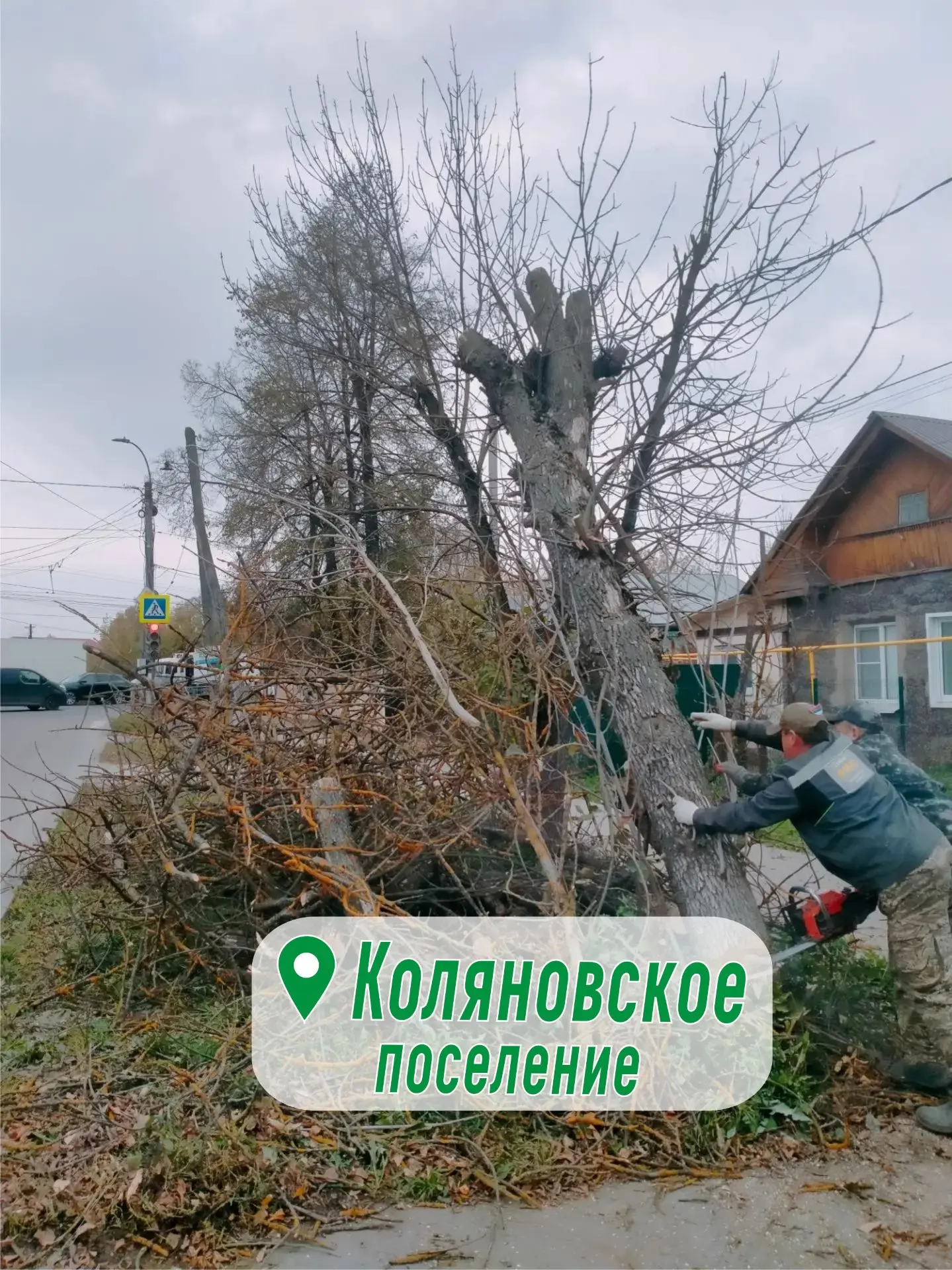 В Коляновском поселении проходят мероприятия по сносу аварийных деревьев.