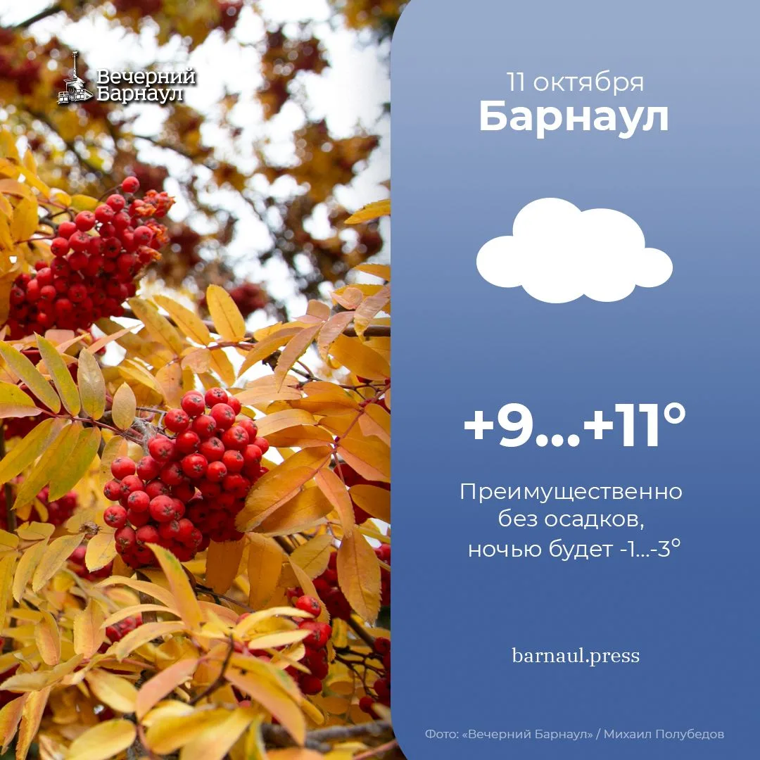 Преимущественно без осадков будет сегодня в Барнауле.