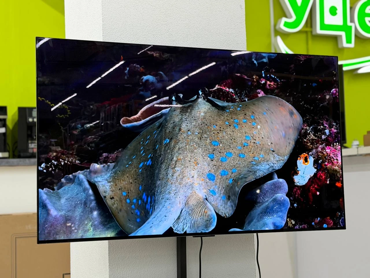 ⚡️48" (121 см) Телевизор LG OLED48C4RLA