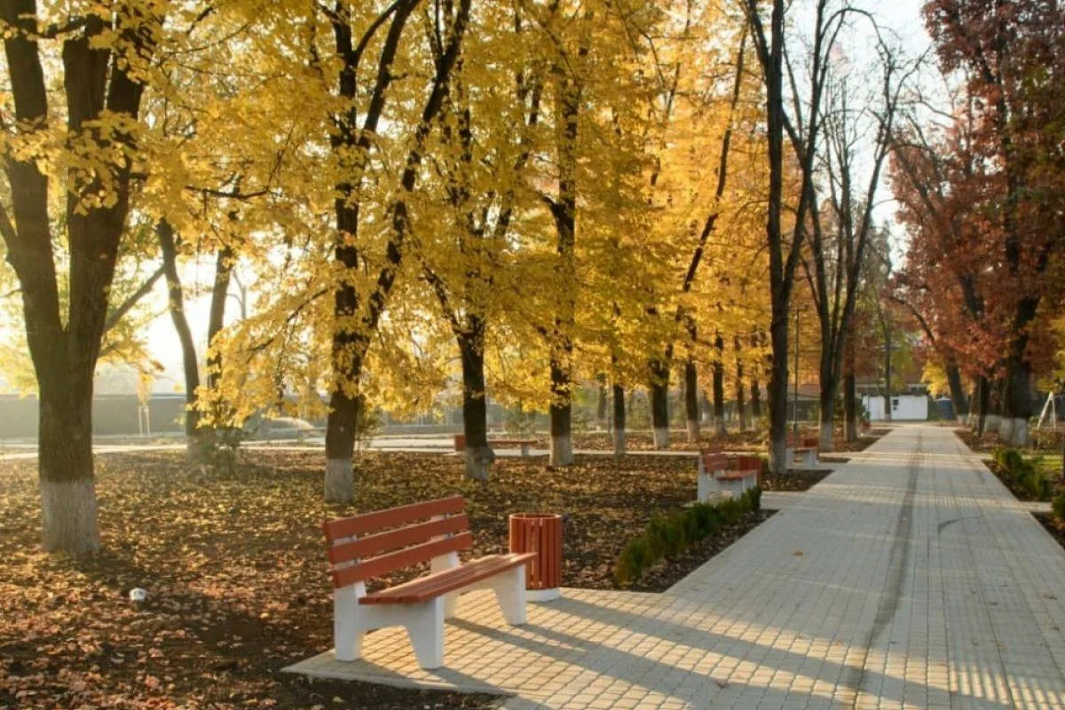 📌Антициклон подарит Краснодару ещё немного лета.
