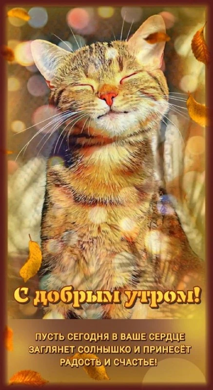 Открытки: подписаться ❤️