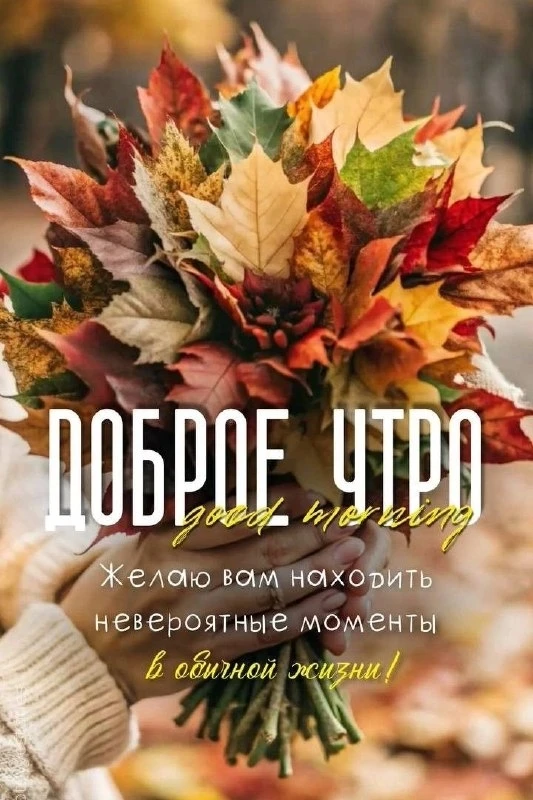 Открытки: подписаться ❤️