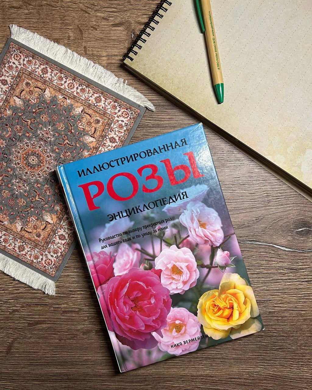 Розоводческий словарик для новичков 🌹
