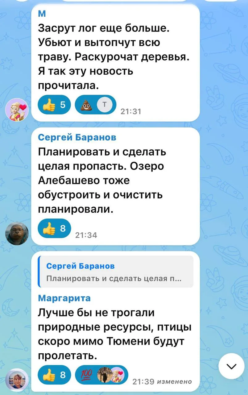 Городищенский лог Тюменки: городской курорт будущего или очередное «планировать не знач...