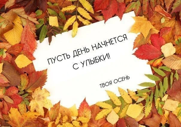 Осень учит нас видеть красоту в переменах, в тихом увядании природы и в принятии естест...