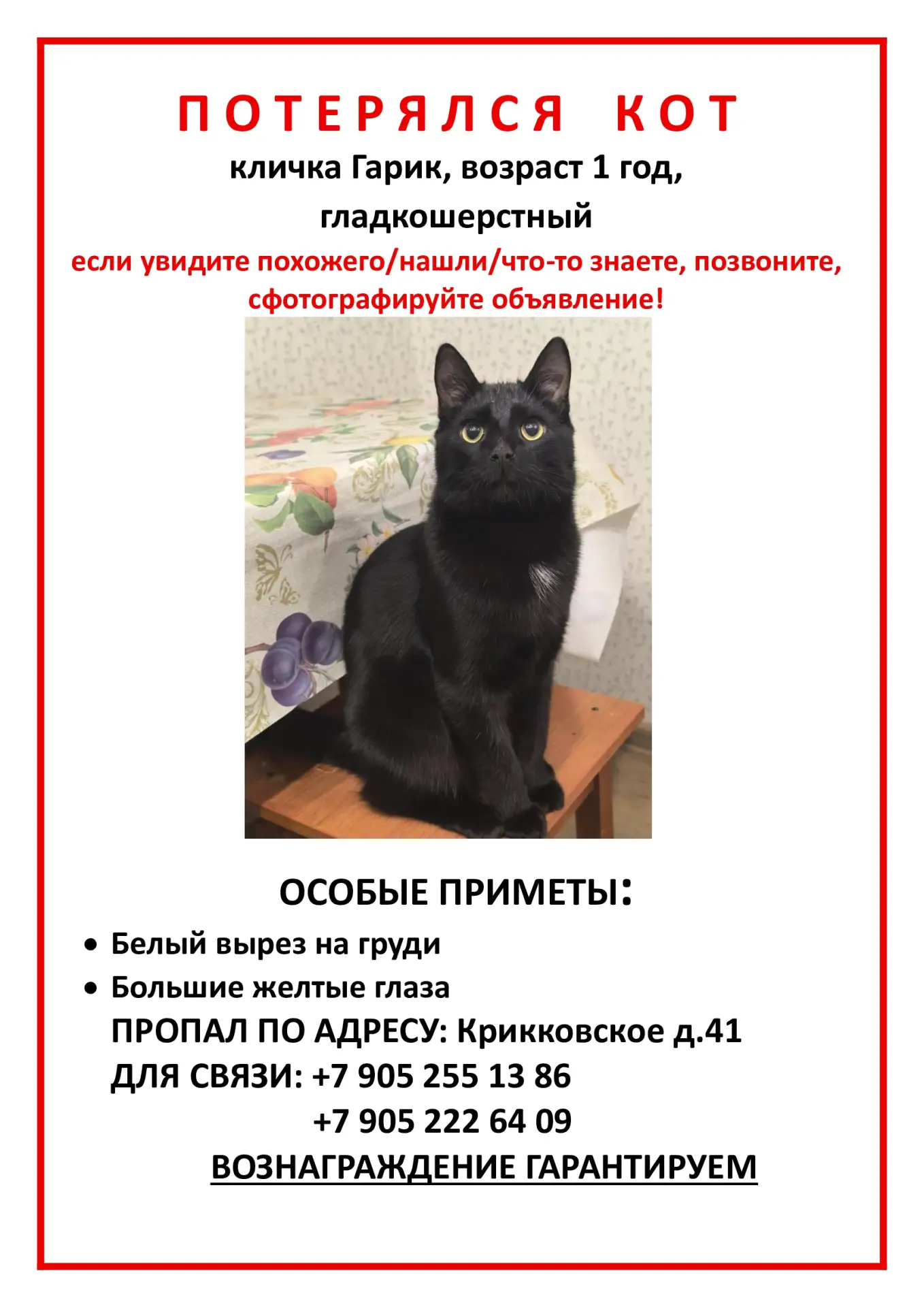 👤 Надежда Федунова