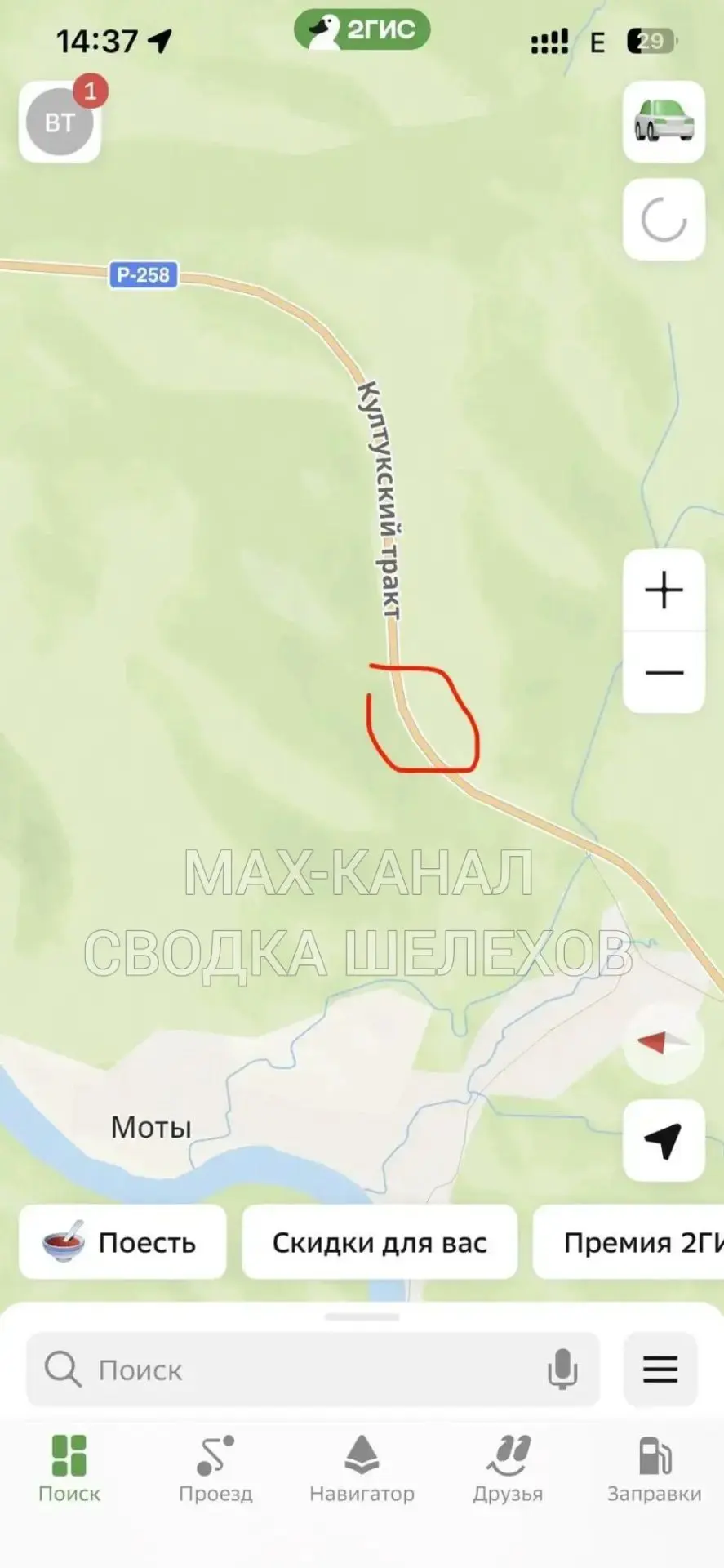 Медведя заметили в Шелеховском районе, на Култукском тракте рядом с селом Моты сегодня ...