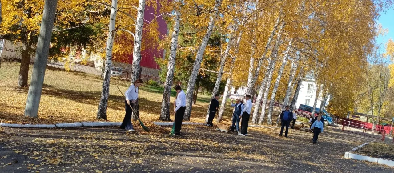 🍁Последний лист золотой осени...