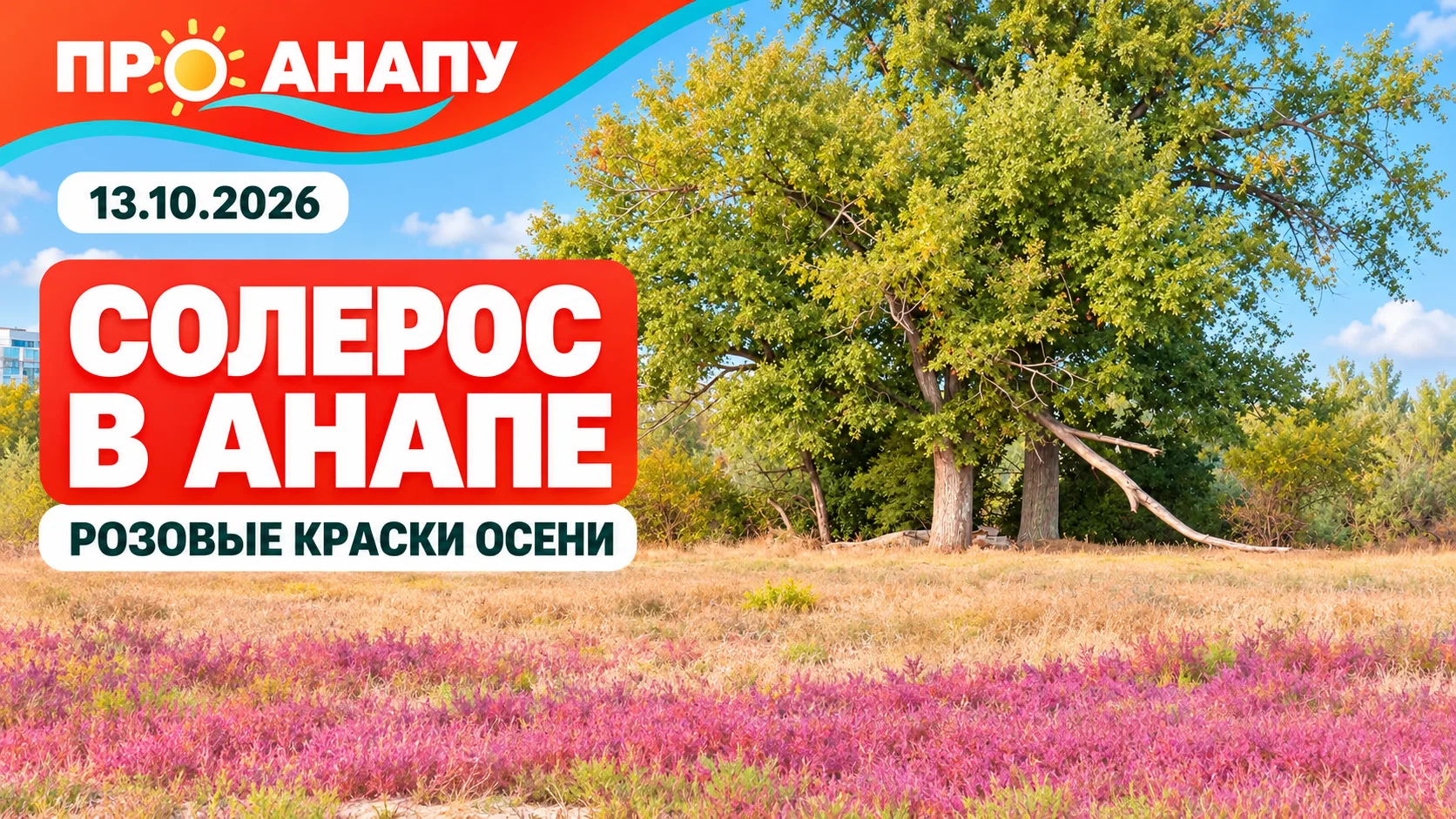 В Детском парке Анапы солерос окрасился в яркие осенние цвета