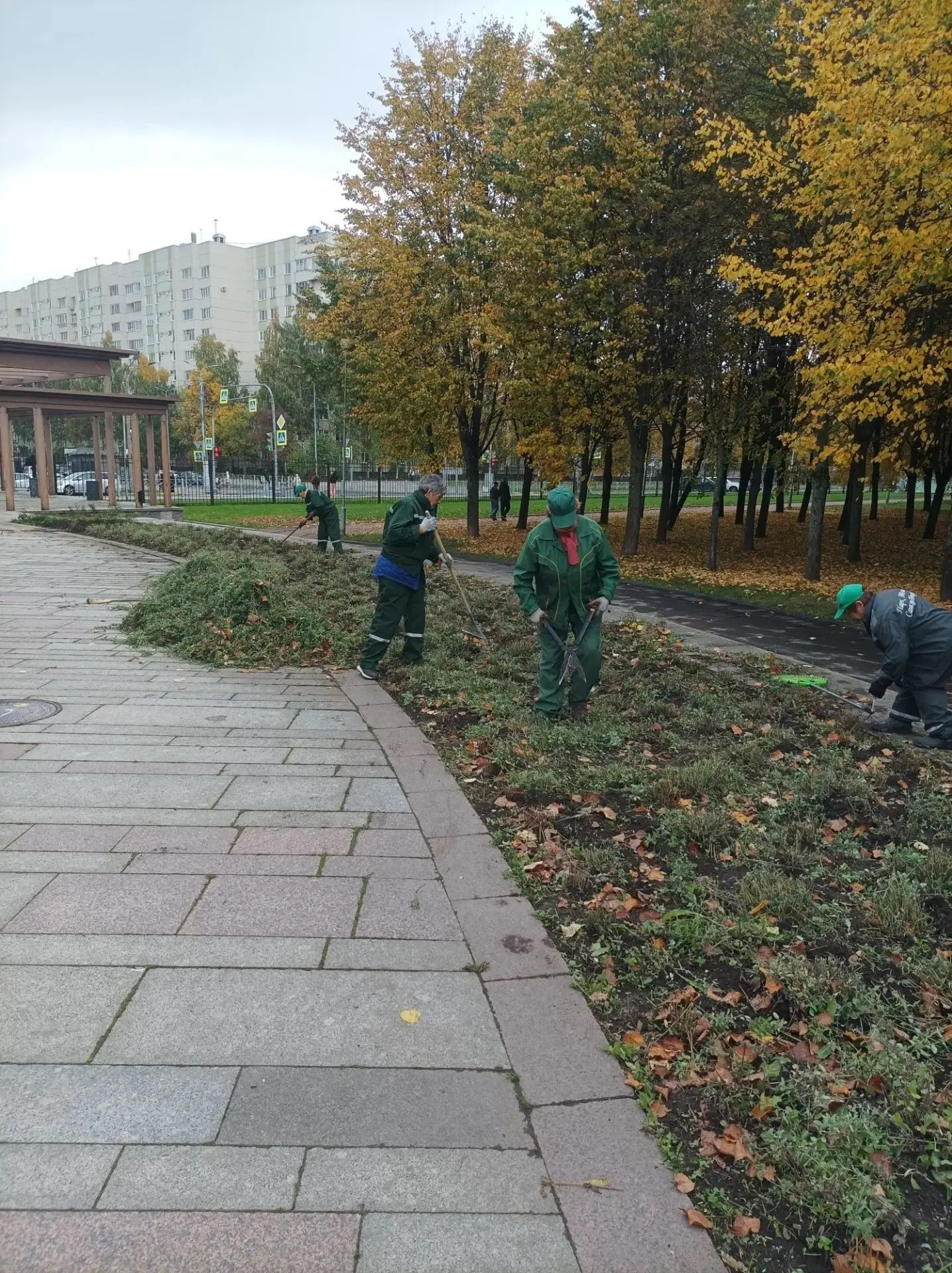 В Парке 300-летия Санкт-Петербурга продолжаются сезонные работы по уходу за цветниками.