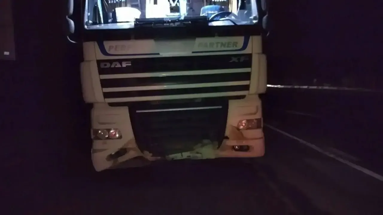 🐗 Кабан погиб под колесами «Урала» на трассе М-5 под Уфой.