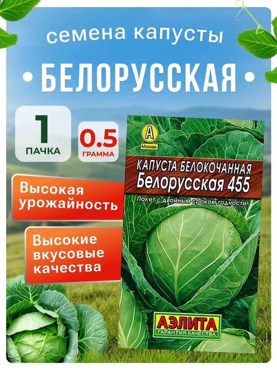 🔥 Капуста Белорусская 1шт