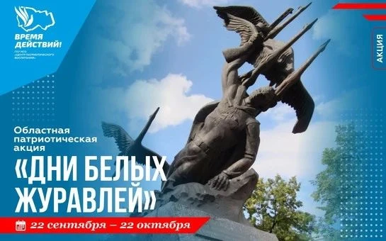 🕊️ Дни белых журавлей: новосибирцев приглашают к участию в акции памяти павших защитни...