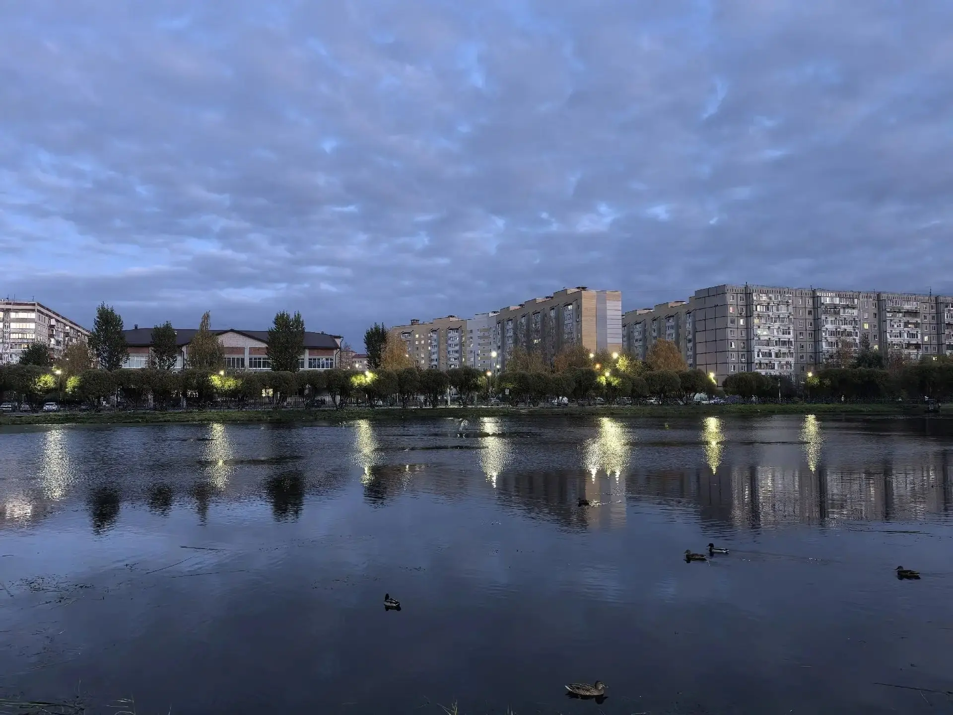 🍂 Осень — время мечтать и замечать красоту вокруг