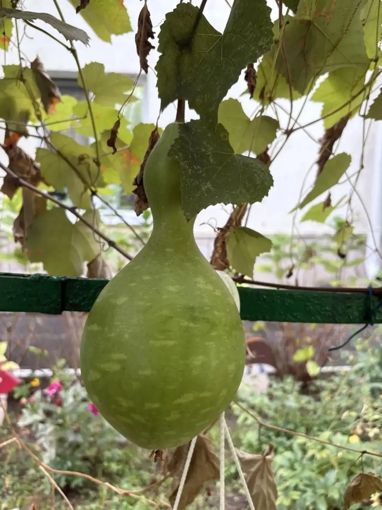 Наш осенний сюрприз! 🍁