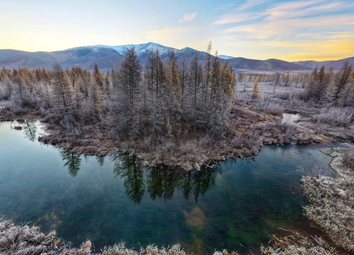 В окрестностях Усть-Омчуга 🌲