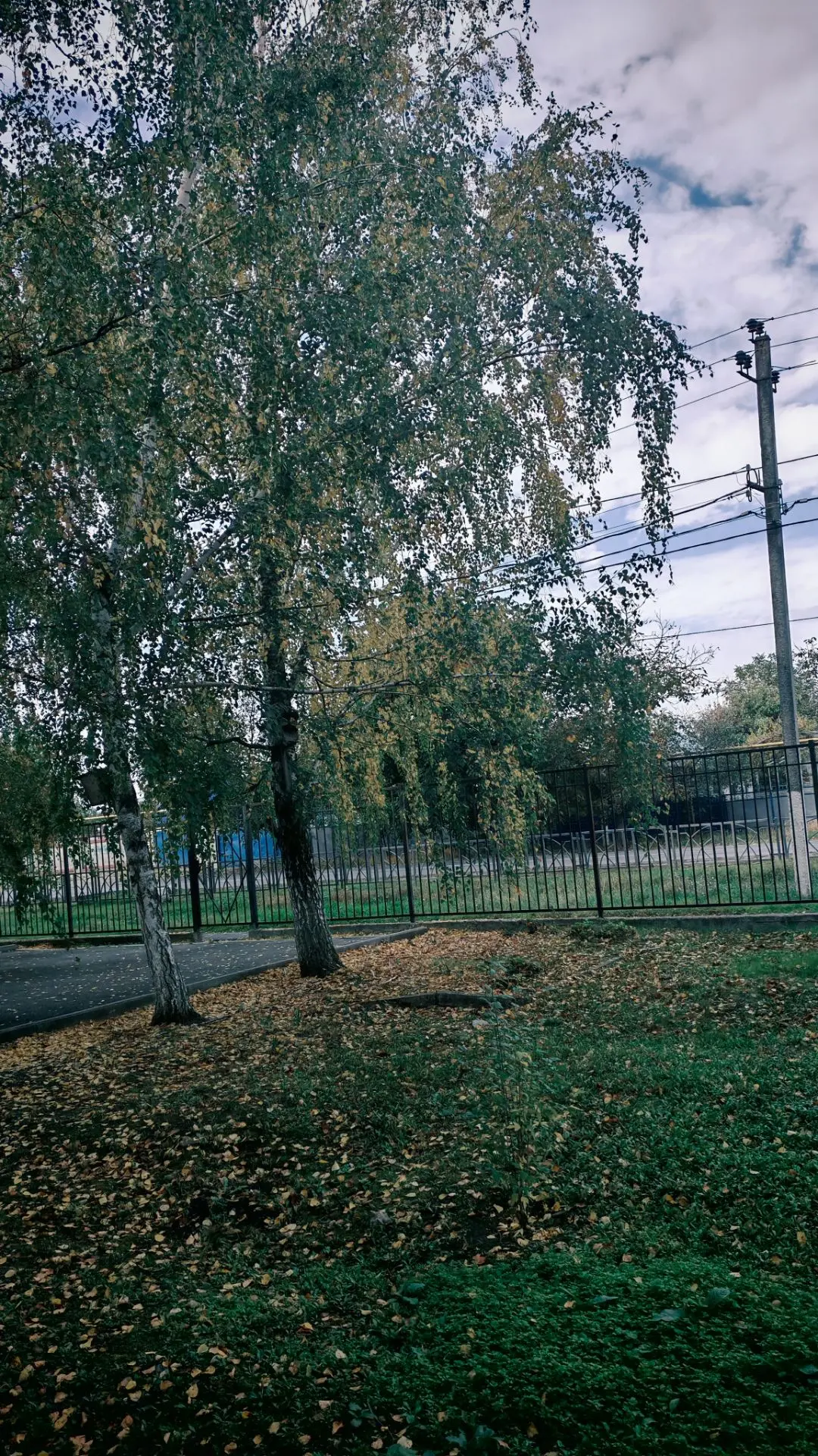«Есть в осени первоначальной короткая, но дивная пора…»