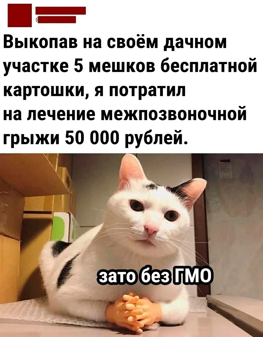 Знакомо?