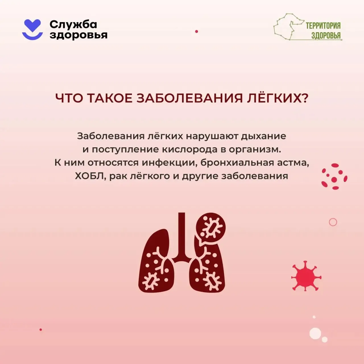 🫁Дышите. Просто дышите. А теперь задумайтесь: 20 тысяч вдохов в сутки — и ни одного дн...