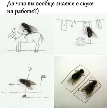 🌸 Женский Клуб — Подписаться