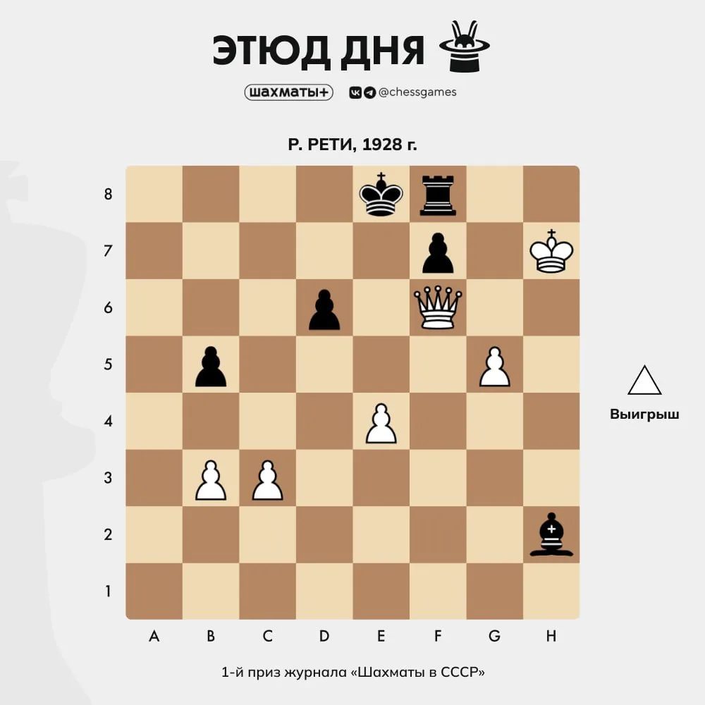 🎼 Этюд дня