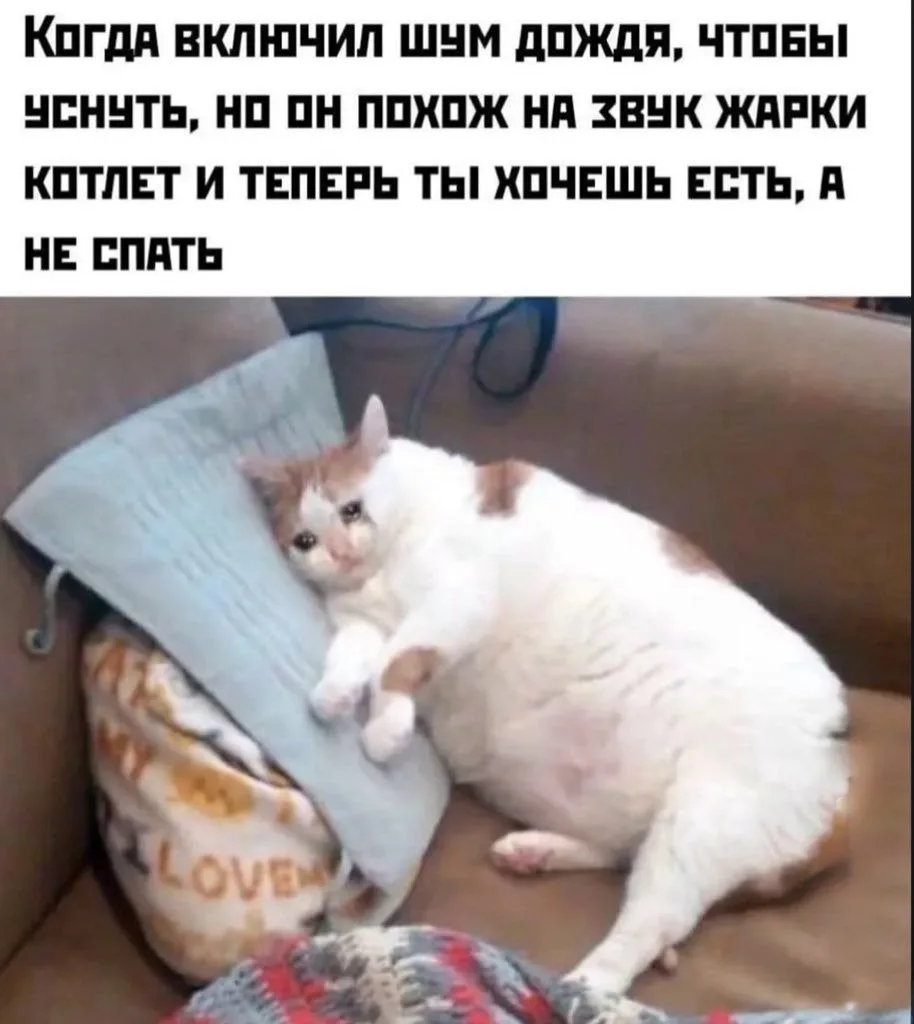 🌙 Спокойной ночи!