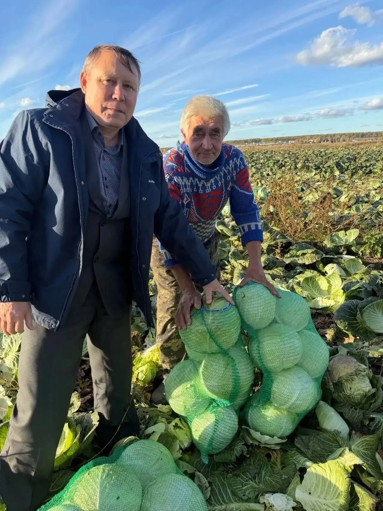 🌻🚜 В Канашском округе урожай собирают тоннами, а поля уже готовят к следующему сезону!