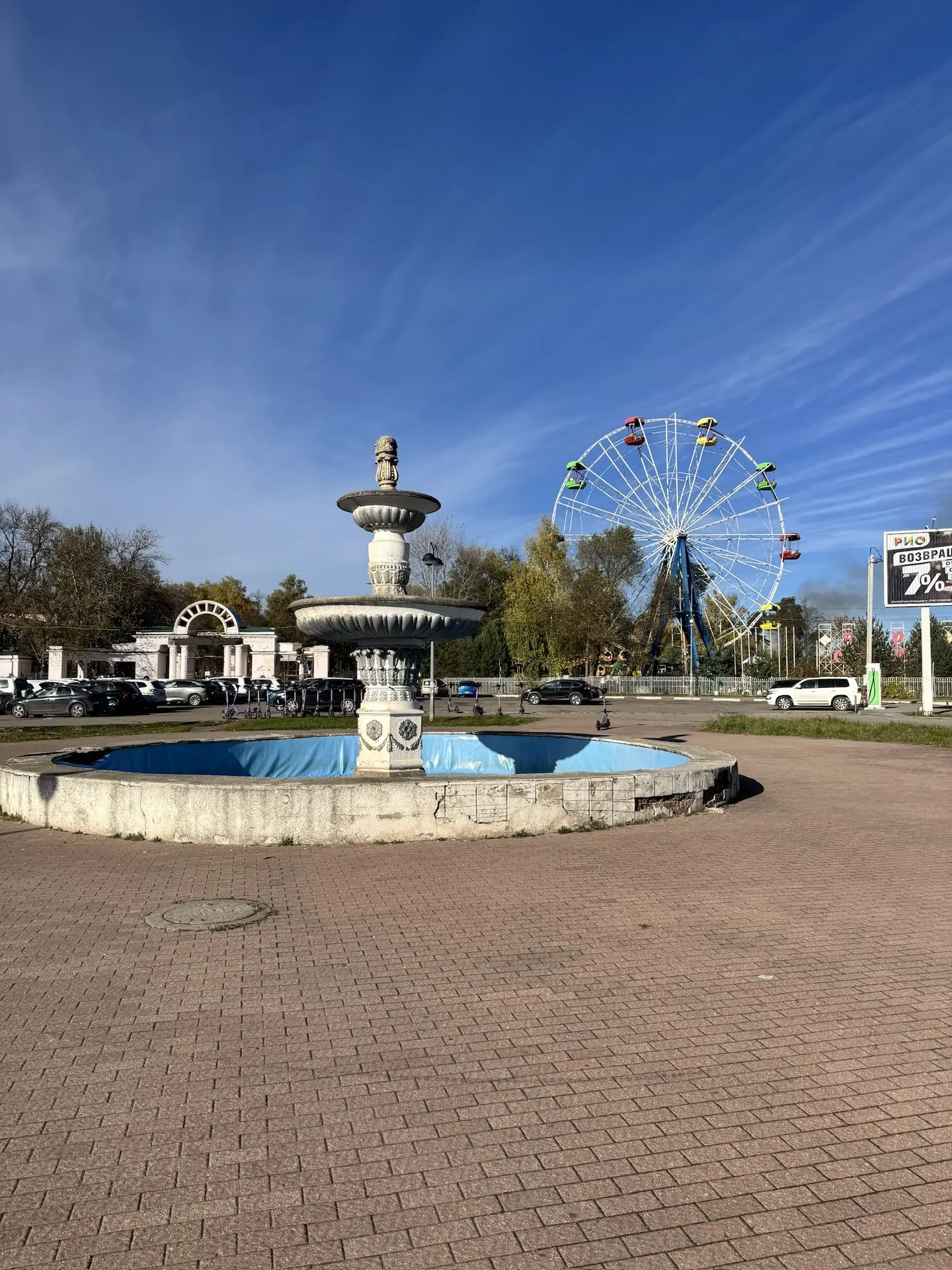 Ёжик в Иваново 😉
