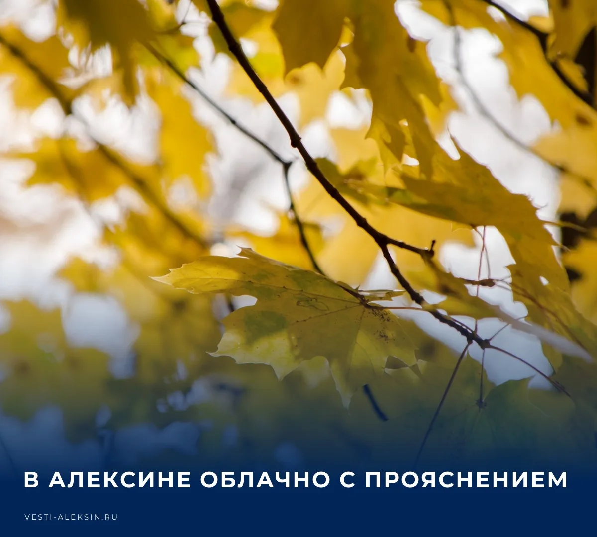 🌧️ В Алексине и рабочем поселке Новогуровский будет облачно с прояснением, синоптики д...