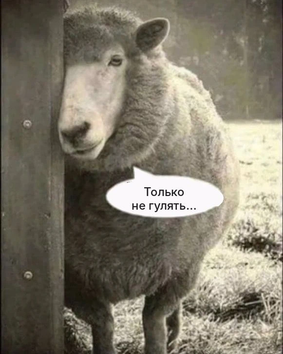 Знаем не понаслышке, как дети не любят просто гулять по городу, тем более если идём не ...