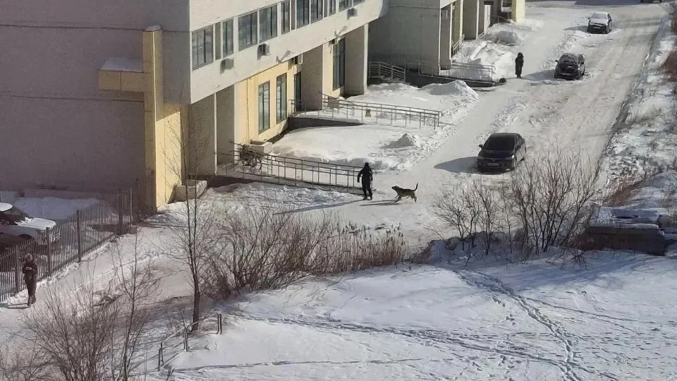 Прокуратура Ленинского района г. Челябинска в судебном порядке добилась взыскания компе...